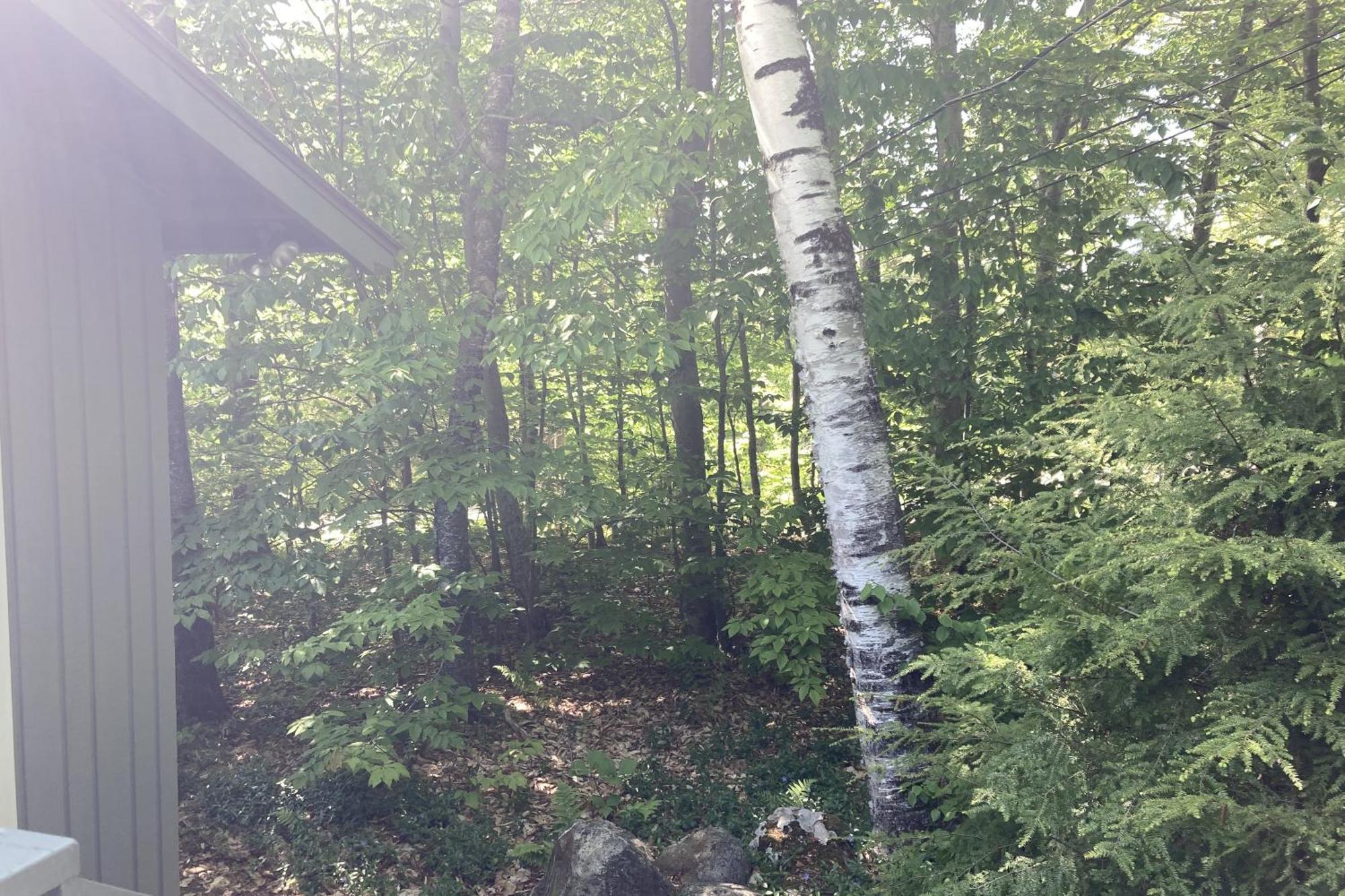 Snowflake Cabin Barnumville Екстер'єр фото